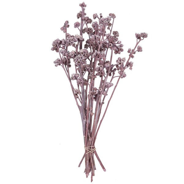 Vickerman 13 x 1-3 in. Frosted Branch, Erika - 14 Piece - H1RGM400