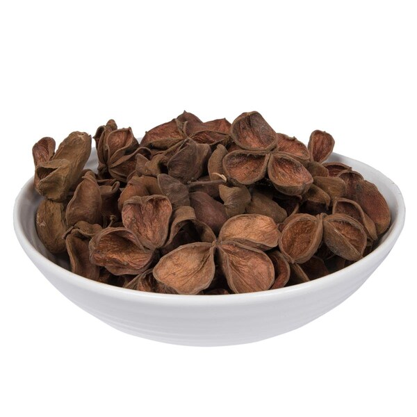 Dare2Decor 3.2-4 in. Land Lotus, Natural - 50 Piece per Pack - DA3253057