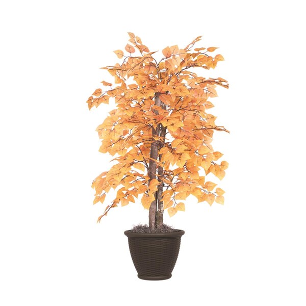 Dare2Decor 4 ft. Golden Aspen Bush in Plastic Contain, Orange - DA3254993
