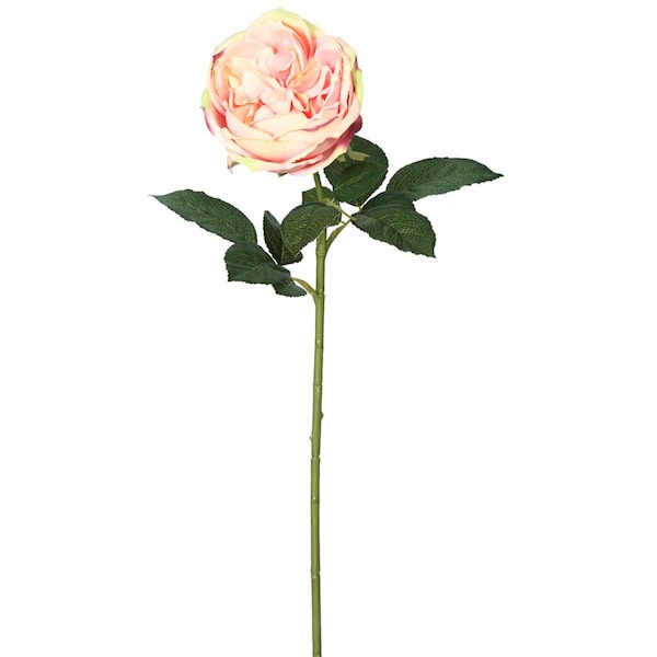 Vickerman 25 in. Open Rose Stem Light Pink, 6PK - FH170501