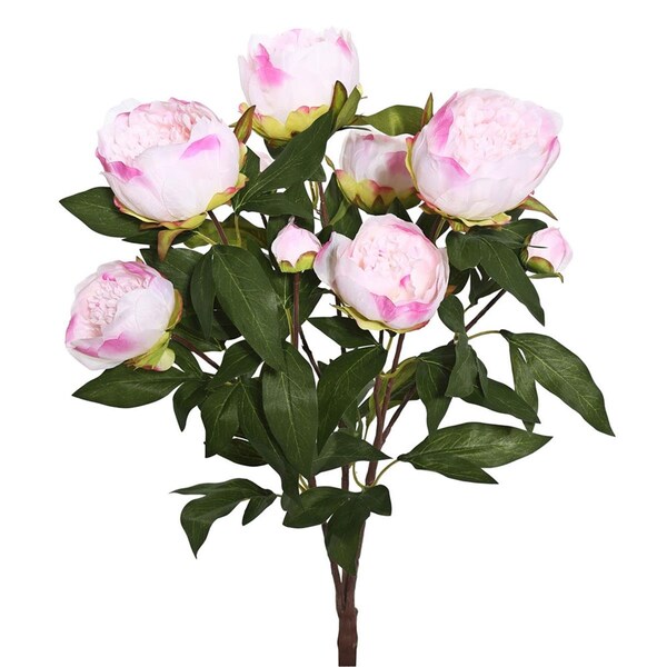 Dare2Decor 23 in. Peony Bush X6 Flowers 3 Buds-Cream, Pink - DA1487901
