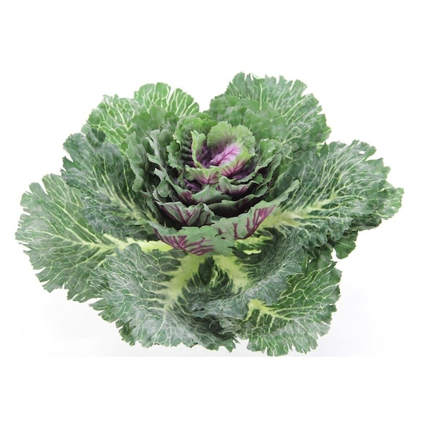 Adlmired By Nature Admired by Nature  12 in.H Artificial Cabbage Home Kitchen Decoration, Green - GG8655-NATURAL