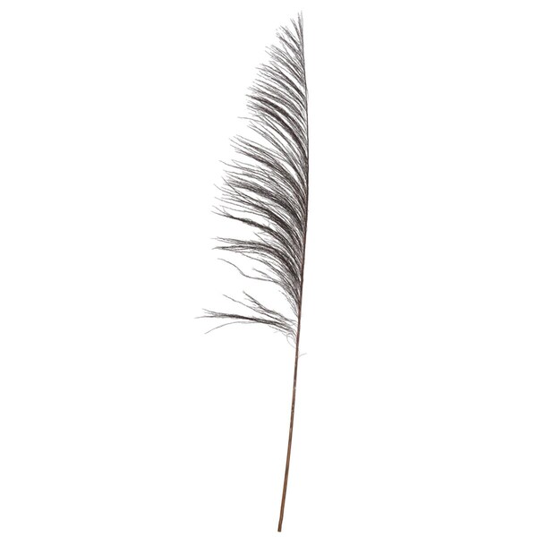 Dare2Decor 60-72 in. Black Uva Palm Spray - 10 per Bunch - DA3267788
