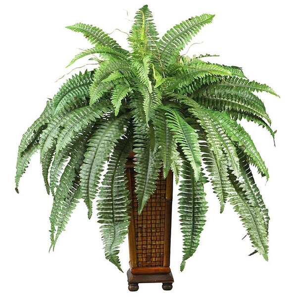 Nearly Natural Boston Fern with Decorative Wood Vase- Green - 6553