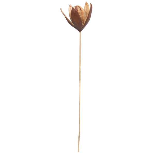 Dare2Decor 20 in. Lily on Stem Artificial Flowers, Natural - 50 Stems per Pack - DA3256803