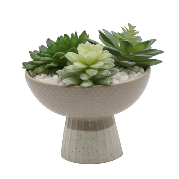 Espectaculo Succulent Mix in Two Tone Bowl Ceramic Planter, Grey/Beige - ES2970910