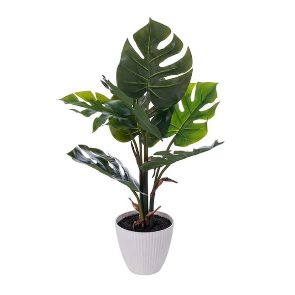 Dare2Decor 18 in. Monstera Plant x7 in White Pot, Green - DA3272325