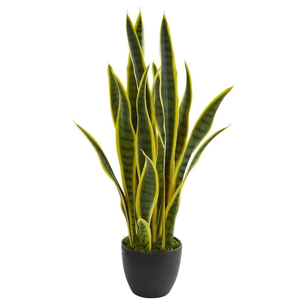 Nearly Naturals 26 in. Sansevieria Artificial Plant - 6349