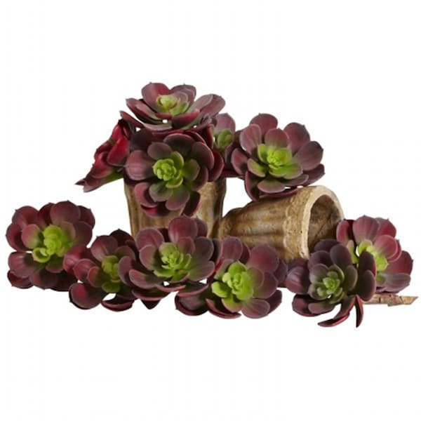 Nearly Natural 5 in. Echeveria Succulent Plant- Burgundy - Set of 12, 12PK - 6106-BG-S12