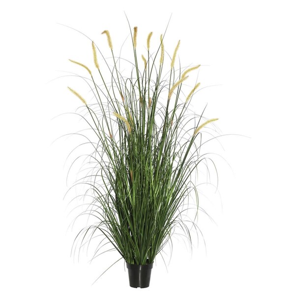Dare2Decor 60 in. Foxtail Grass in PotGreen - DA1236114