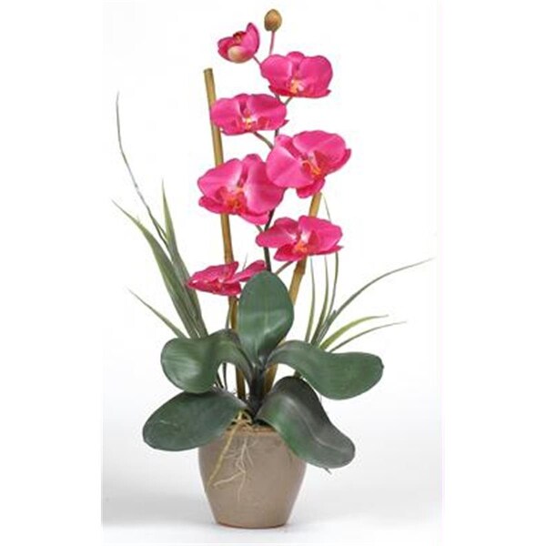 Nearly Natural Single Stem Phalaenopsis Silk Orchid Arrangement - 1016-BU