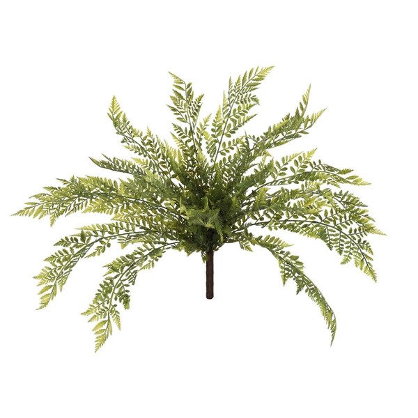 Dare2Decor 18 in. Green Boston Fern Bush - DA2676058