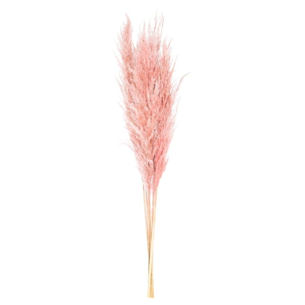 Vickerman 46 in. Pampas Grass, Dusty Rose, 6PK - H2PPS630-6