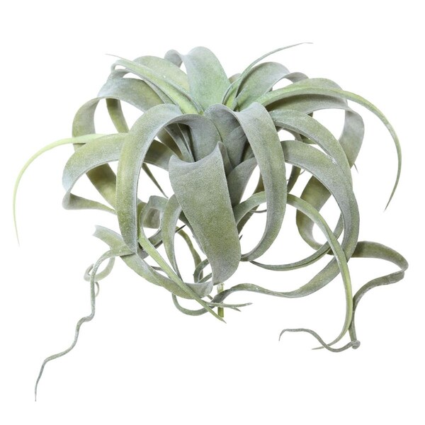 Dare2Decor 10.5 in. Green Tillandsia Pick - DA1236100