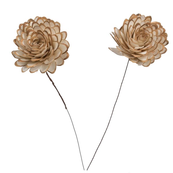 Dare2Decor 4 in. Almond Sola On Stem Flower Artificial Flower, Natural, 12 in., 12PK - DA3260606