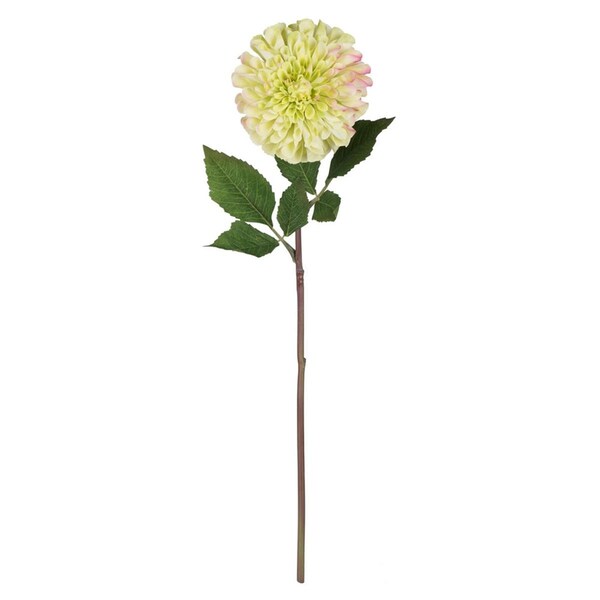 Vickerman 24 in. Green Zinnia Stem - FQ180602