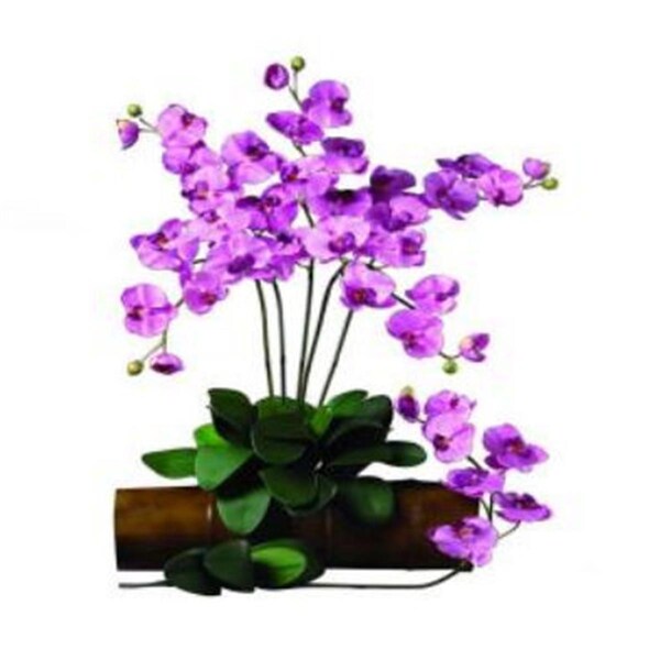 Nearly Natural 31.5 in. H Mauve Phalaenopsis Stem - Pack of 12 - 2044-MA-12