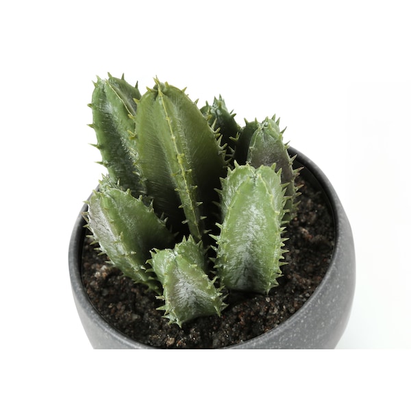 Monarch Specialties Artificial Plant, 6" Tall, Succulent, Indoor, Faux, Fake, Table, Greenery, Potted, Set Of 3 - I 9587