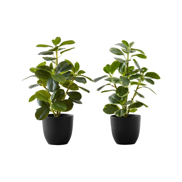 Monarch Specialties Artificial Plant, 14" Tall, Ficus, Indoor, Faux, Fake, Table, Greenery, Potted, Set Of 2, Decorative - I 9585