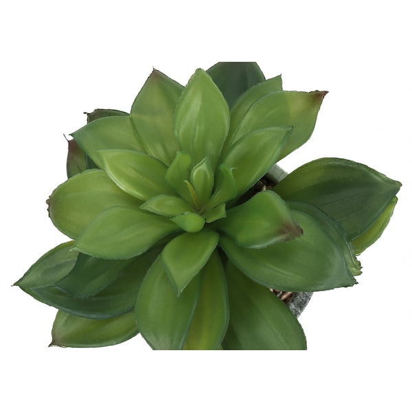 Monarch Specialties Artificial Plant 6" Tall Succulent, Indoor, Faux, Fake, Table, Greenery, Potted Set Of 2, Decorative - I 9586