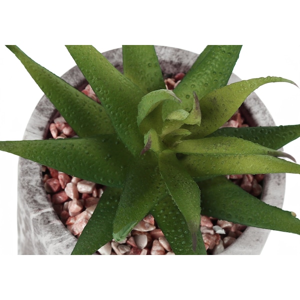 Monarch Specialties Artificial Plant 6" Tall Succulent, Indoor, Faux, Fake, Table, Greenery, Potted Set Of 2, Decorative - I 9586