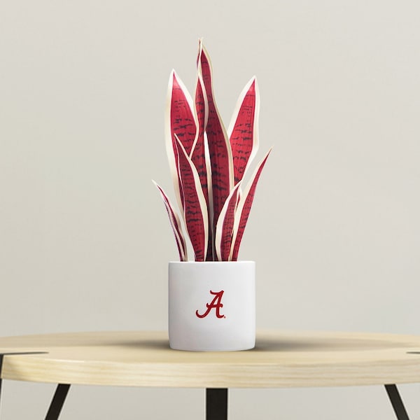 Forever Leaf Alabama Faux Snake Plant w/Ceramic Pot - FL05109ALA