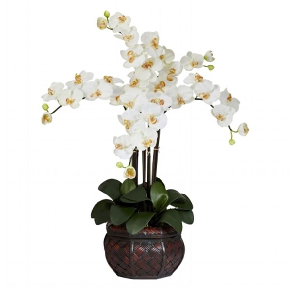 Nearly Natural Phalaenopsis with Decorative Vase Silk Flower Arrangement - 1211-CR