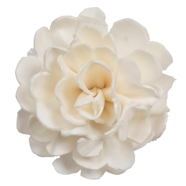 Vickerman 1-3 in. Assorted Camellia Sola Head Artificial Flowers, Natural, 24PK - H7SFL044