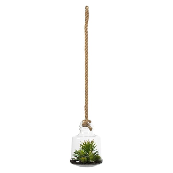 Vickerman 10 in. Green Assorted Succulents in Glass Jar - FH182501