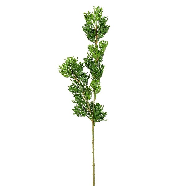 Vickerman 27 in. Green Boxwood Spray - FK180301