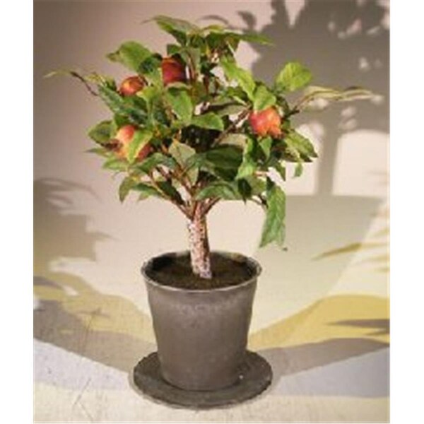 Paisaje Artificial Pomegranate Bonsai Tree - PA2802589