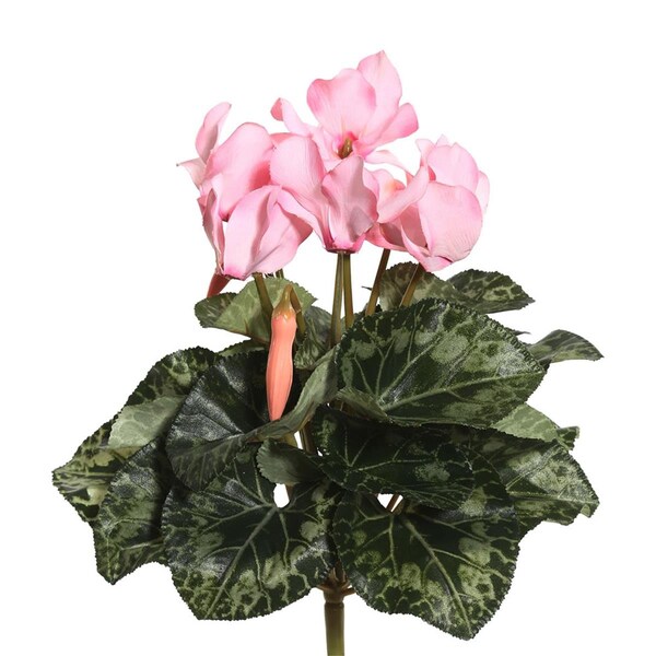 Dare2Decor Light Pink Cyclamen X8 Floral Bush 11 in. - DA591038