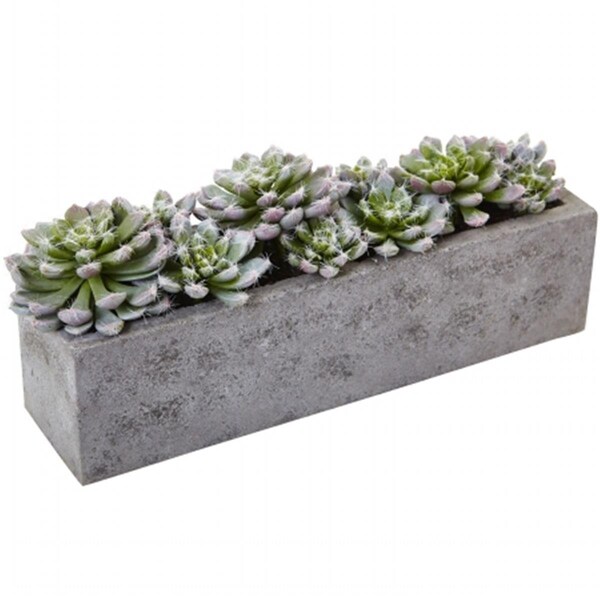 Nearly Natural Succulent Garden With Textured Concrete Planter - 4544