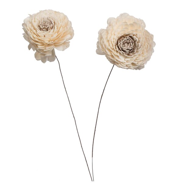 Dare2Decor 4 in. Charki Sola 12 in. Stem Artificial Flowers, Natural - 12 per Bag - DA3254983