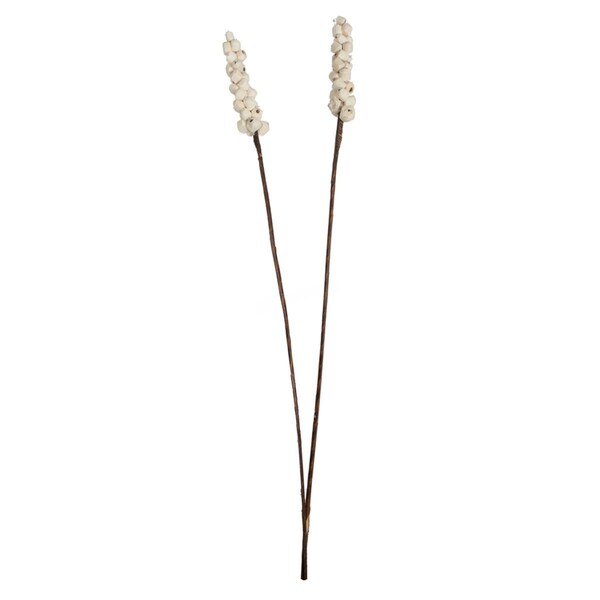 Dare2Decor 24 in. Sola Berries Stick Artificial Flowers, Natural - 24 per Bag - DA3891010