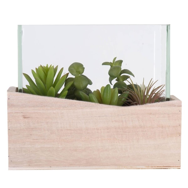 Dare2Decor 12 x 3.5 x 6 in. Assorted Succulents in Glass Geometric Terrarium - DA3249702
