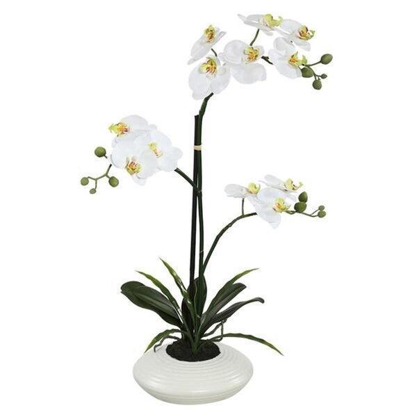 Dare2Decor 25 in. Potted Orchid fls x 2-Purple with Ceramic Container - DA835747
