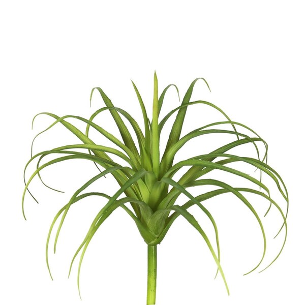 Dare2Decor Plastic Grass-Frosted Green Greenery Stem 8 in. 3 Per Bag - DA582314