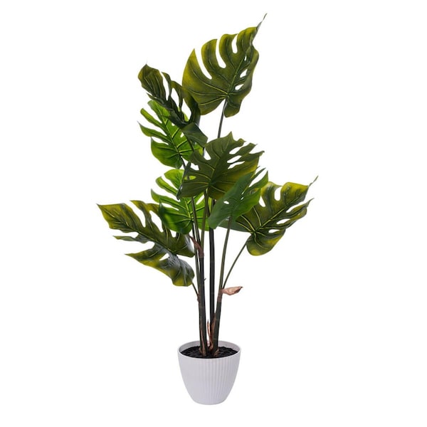 Vickerman 37 in. Monstera Plant x8 in White Pot, Green - TB230137