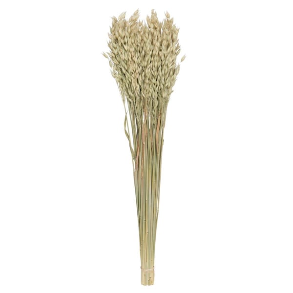 Vickerman 24-26 in. 4 oz Dried Avena Oats Bunch, Natural - H4AVE000