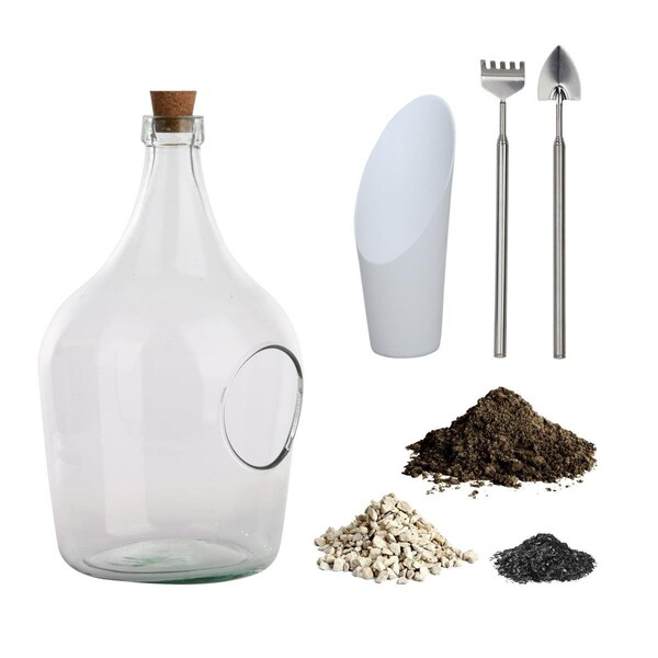 Espectaculo 3 Litre DIY Open Plant Terrarium Set - ES3197818