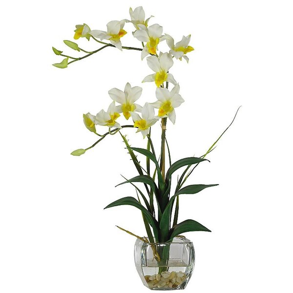 Dare2Decor Dendrobium with Glass Vase Silk Flower Arrangement- Cream - DA103032