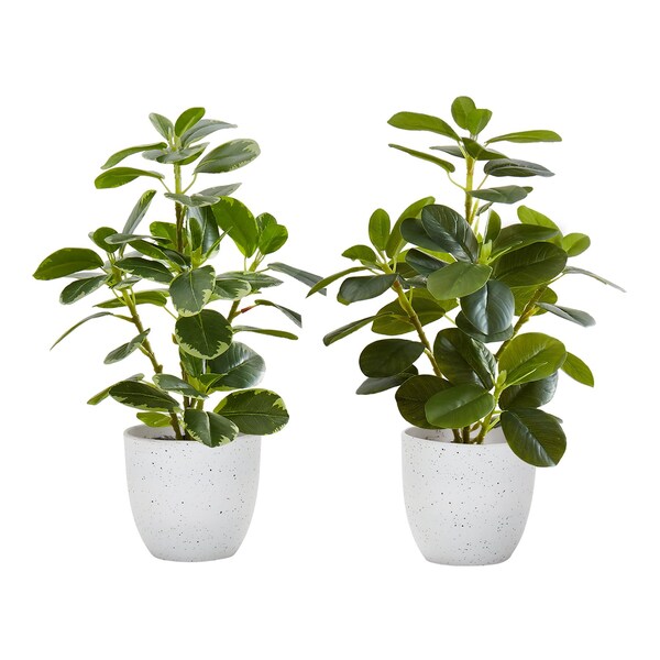 Monarch Specialties Artificial Plant, 14'' Tall, Ficus, Indoor, Fake, Decorative, Green Leaves, White Pots, 2PK - I 9557