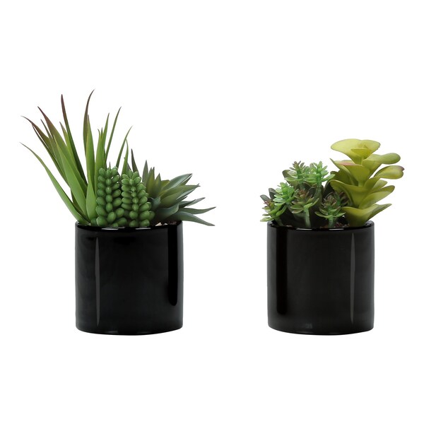 Monarch Specialties Artificial Plant, 7'' Tall, Succulent, Indoor, Fake, Decorative, Green Plants, Glossy Blk Pots, 2PK - I 9554