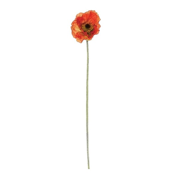 Purely Pecan Gordon  34 in. Orange Artificial Poppy Flower Decorative Floral Crafting Stem - 31812269