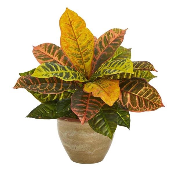 Dare2Decor 15 in. Garden Croton Artificial Plant in Ceramic Planter, Real Touch - DA3085597