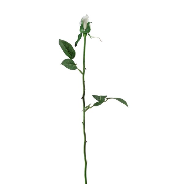 Cc Home Furnishings 22.5 in. Artificial Long Single Stem Budding Rose Flowers, Cream - 32607832