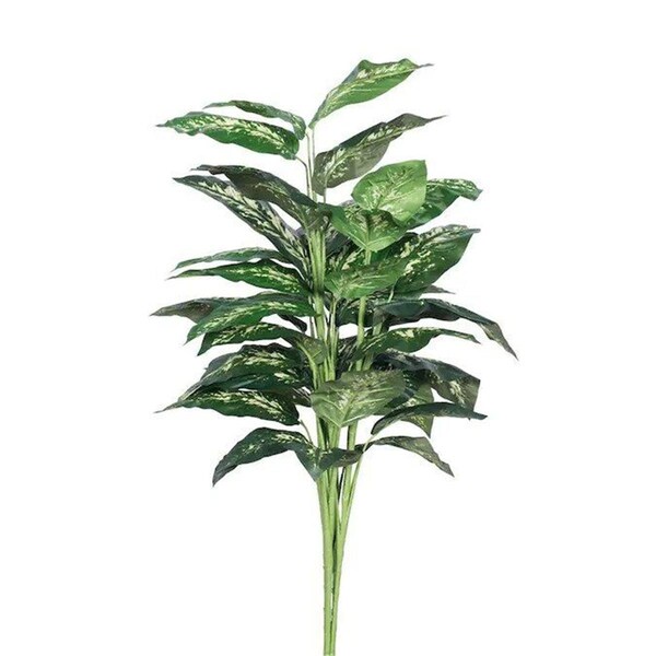 Vickerman Marble Dieffenbachia Plant X5 Everyday Tree - 3 ft. - TP170236