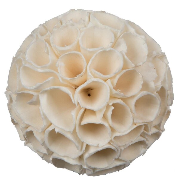 Vickerman 3.2 in. Sola Crape Ball Artificial Flowers, Natural, 25PK - H7SCRL900