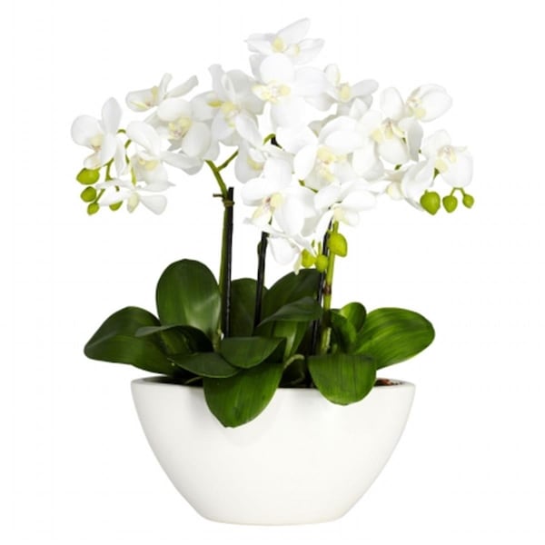 Nearly Natural Phalaenopsis Silk Flower Arrangement - 4804